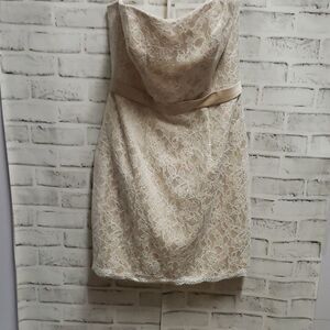 Andrew adela dress 